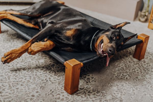 Brindle Memory Foam Dog Bed